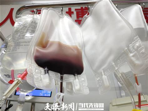 21岁武大学生捐髓救人 湖北捐献造血干细胞队伍首添00后力量--湖北文明网