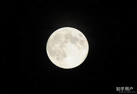 《月亮的味道》月亮到底是什么味道的呢？