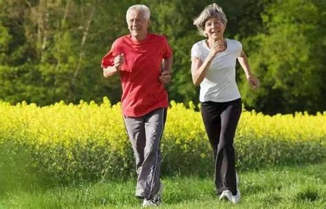 轻夫妇早上公园慢跑健康健身高清图片下载-正版图片300734355-摄图网