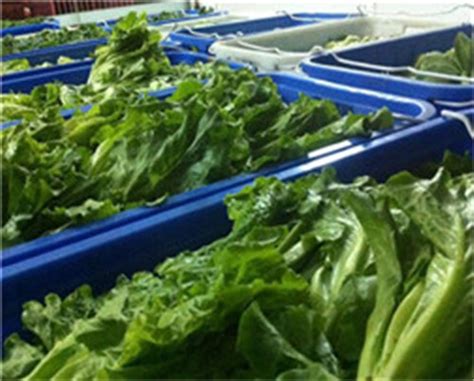 蔬菜配送有哪几种运输方法_重庆立高食品集团有限公司