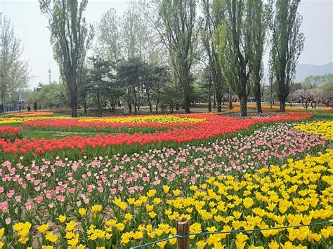 2019北京植物园-旅游攻略-门票-地址-问答-游记点评，北京旅游旅游景点推荐-去哪儿攻略