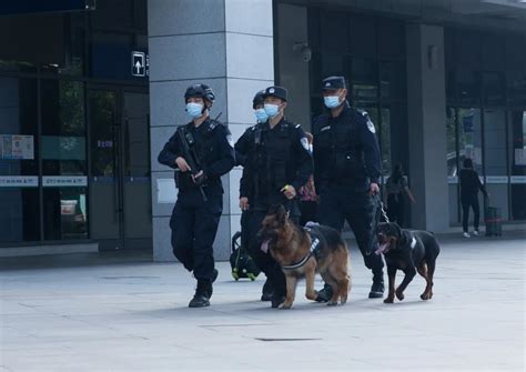 宜昌市公安局反恐怖工作和特种警察支队成立！