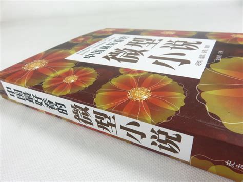 中国最好看的微型小说大全集图册_360百科