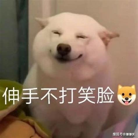 萌死人的表情包图片