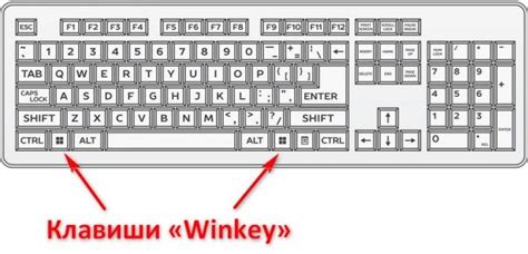 What does Winkey mean? - Definition of Winkey - Winkey stands for ...