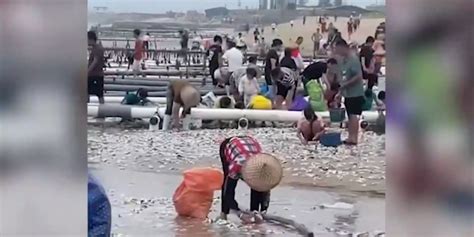 台风送来大量生蚝海鲜，市民拎麻袋装，网友：捡不完根本捡不完_掌上福州