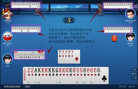 牌皇图片