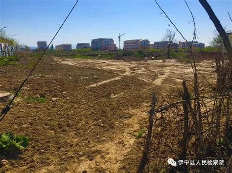 勐腊县种子管理站开展2023年勐腊县制种基地监管