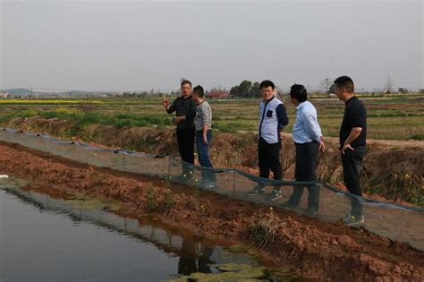 宜昌市：池塘圈养，绿色养鱼新方向-国际环保在线
