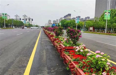 信阳市新十八大街跨京广铁路转体斜拉桥项目紧张施工-大河网