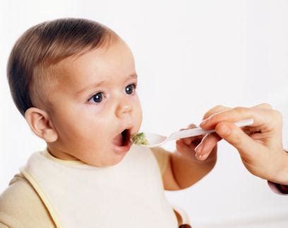 八个月宝宝吃什么好_八个月宝宝吃什么好呢 - 育儿指南