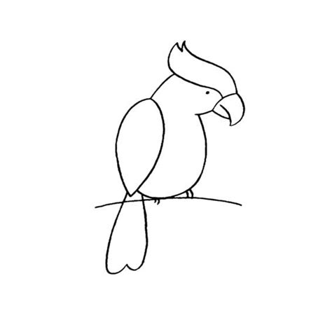 幼儿简笔画 鹦鹉的简单画法 - 育才简笔画
