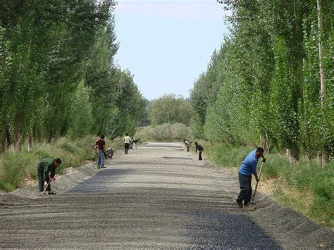 新疆塔城：多元化种植助力乡村振兴-新闻中心-天山网