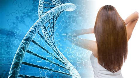 DNA亲子鉴定用头发当样本，鉴定结果准不准_乾元亲子鉴定