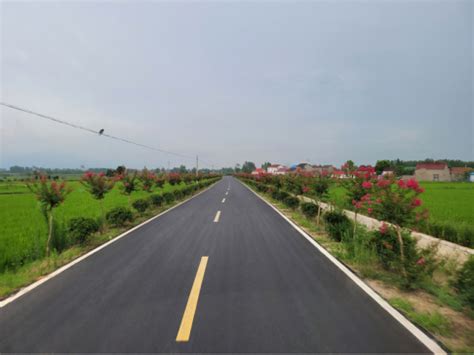 【名媒聚焦】安徽路桥霍邱县产业振兴公路项目：建好农村公路 为乡村振兴提速