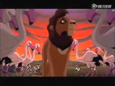 正版蓝光原盘资源下载 [狮子王2：辛巴的荣耀].The.Lion.King.1998.CHN.BluRay.1080p.AVC.DTS ...