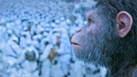 《猩球崛起3》周五上映 回顾人猿之争的前因后果