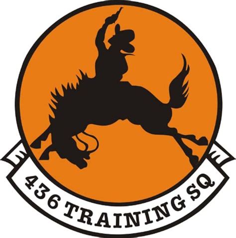 436th Training Squadron celebrates centennial > Air Combat Command > Article Display