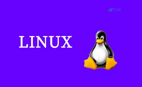 什么是linux