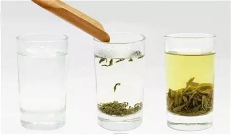 绿茶的冲泡方法 - 花花茶馆
