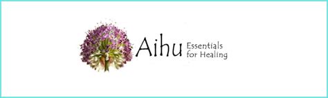 What Is Aihu? Opportunity Or Bust? - NetWiseProfits.com