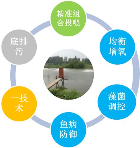 浙江湖州南浔区：打造绿色共富的新江南_县域经济网