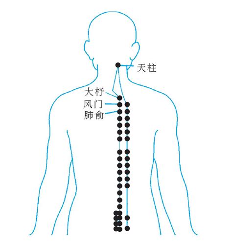 风门的准确位置图图片