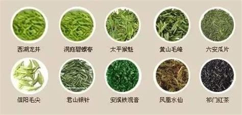 绿茶十大知名品种，绿茶有哪些品种 - 知乎