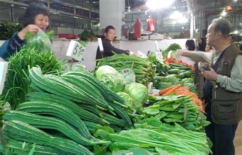 寒潮“冻”高了菜价 义乌部分叶类蔬菜价格呈现季节性上涨-义乌,菜价-义乌新闻