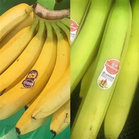 【健康】香蕉香蕉，不“焦”不躁！被称为“快乐水果”？是真的！还能降低心脏病风险_工作动态_汕头市卫生健康局（中医药局）
