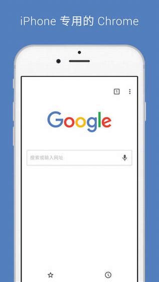 谷歌商店app下载安装-谷歌商店官方正版2023v34.7.10-21 最新版-东坡下载