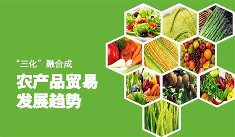 绿色大气简约农业农产品招商宣传PPT-椰子办公