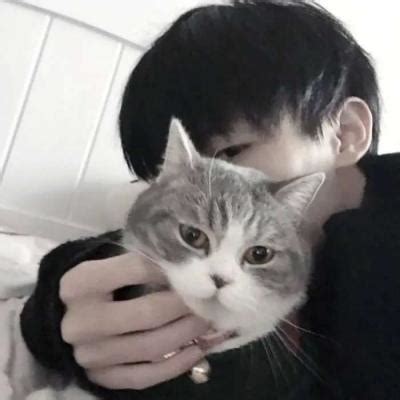 猫做头像非主流