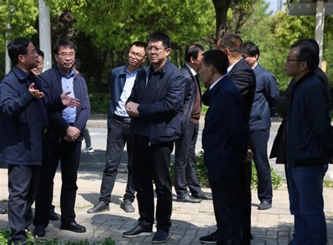 芜湖市市长调研督导中央生态环保督察信访问题整改-国际环保在线