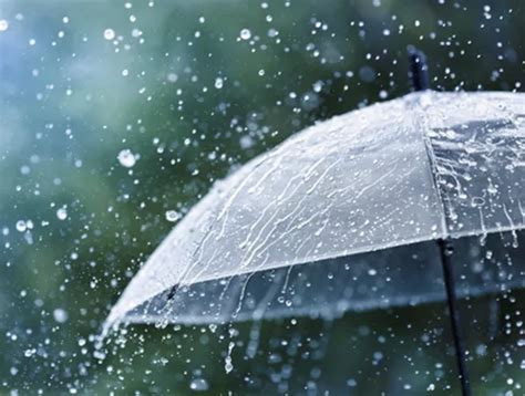 雨！雨！雨！未来一周的长沙天气，雨水强势刷屏_澎湃号·政务_澎湃新闻-The Paper