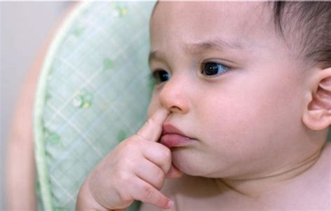 孩子为什么喜欢挖鼻孔？几种原因家长最好提前知道，别不当回事|挖鼻孔|家长|鼻腔_新浪新闻