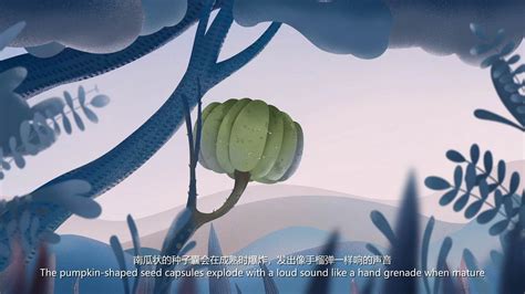 科普动画——种子的传播之沙盒|影视|Motion Graphic|zzjojo - 原创作品 - 站酷 (ZCOOL)