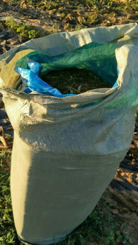 青贮袋青贮饲料发酵袋玉米秸秆青储袋加厚牛羊牧草大号青贮塑料袋-阿里巴巴