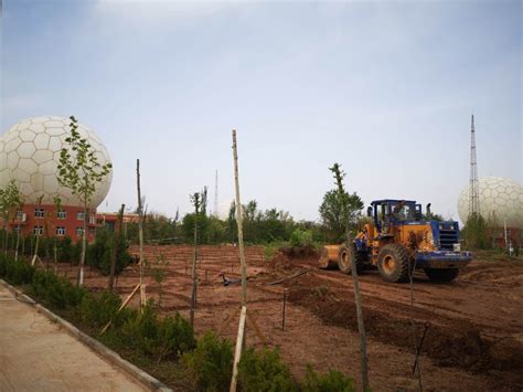 喀什园区开展绿化建设打造西域特色生态园--中国科学院空天信息创新研究院