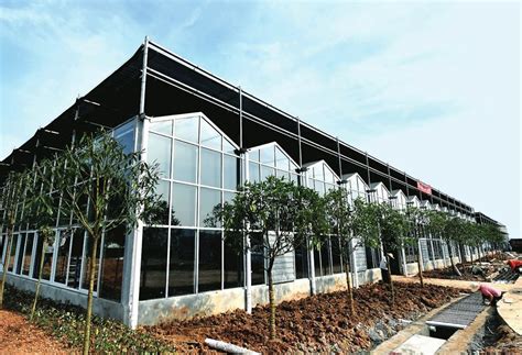 单体塑料大棚-成套温室-北京新华农源温室工程技术有限公司