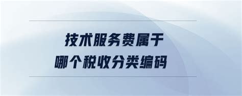 关于税收编码通过金税接口批量导入开票的转换准备-上海汉升软件有限公司