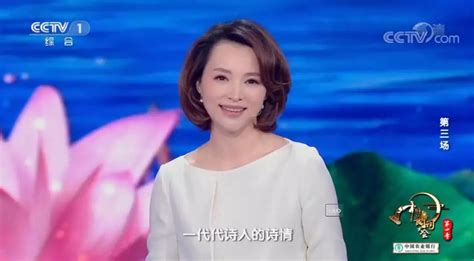 第一届《中国诗词大会》董卿精彩瞬间_腾讯视频