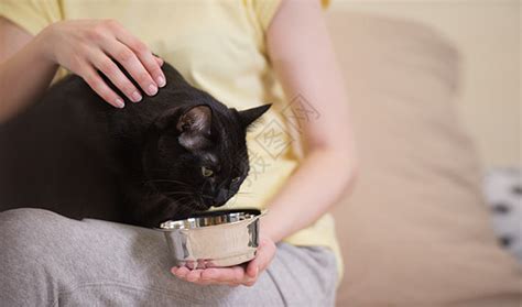 目全非的女人家喂她的黑猫高清图片下载-正版图片300450713-摄图网