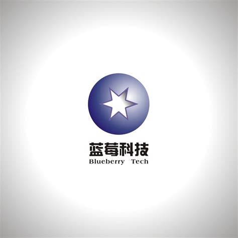 南京蓝莓网络科技有限公司 - 爱企查