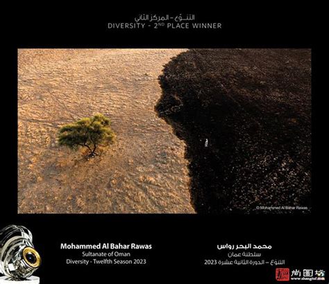 获奖公布 | 第十一届阿联酋迪拜哈姆丹国际摄影大赛获奖名单揭晓_中国摄影网