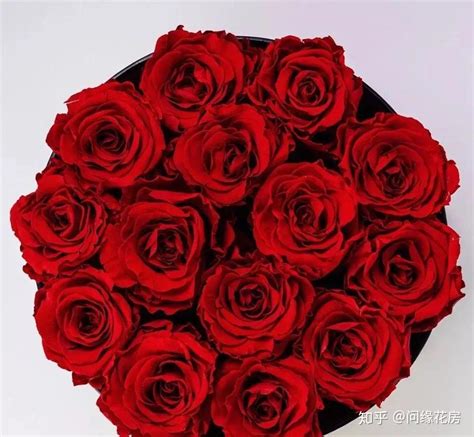 19朵红玫瑰的花语是什么？-168鲜花速递网