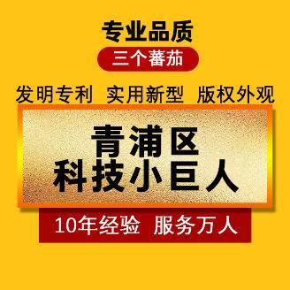 青浦区科技小巨人企业认定_上海市企业服务云