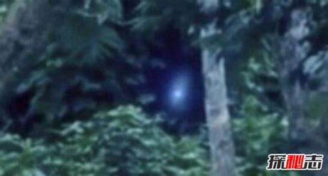 亚马逊拍到外星人？巴西目击UFO事件持续增加，专家分析得出结果|亚马逊|外星人|巴西_新浪新闻