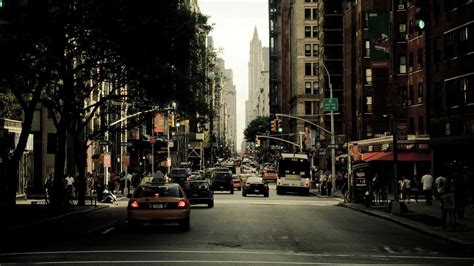Street Trees 的图像结果