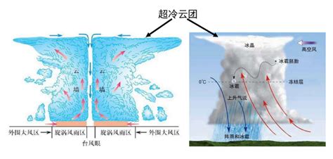 台风的“幼年期”——热带低压-中国气象局政府门户网站